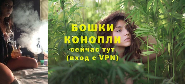 дурь Вяземский